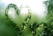 新同学下载安装TV方法 2026