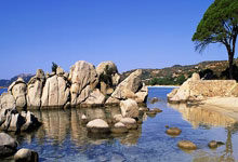 觉醒交易系统-2026 教学版